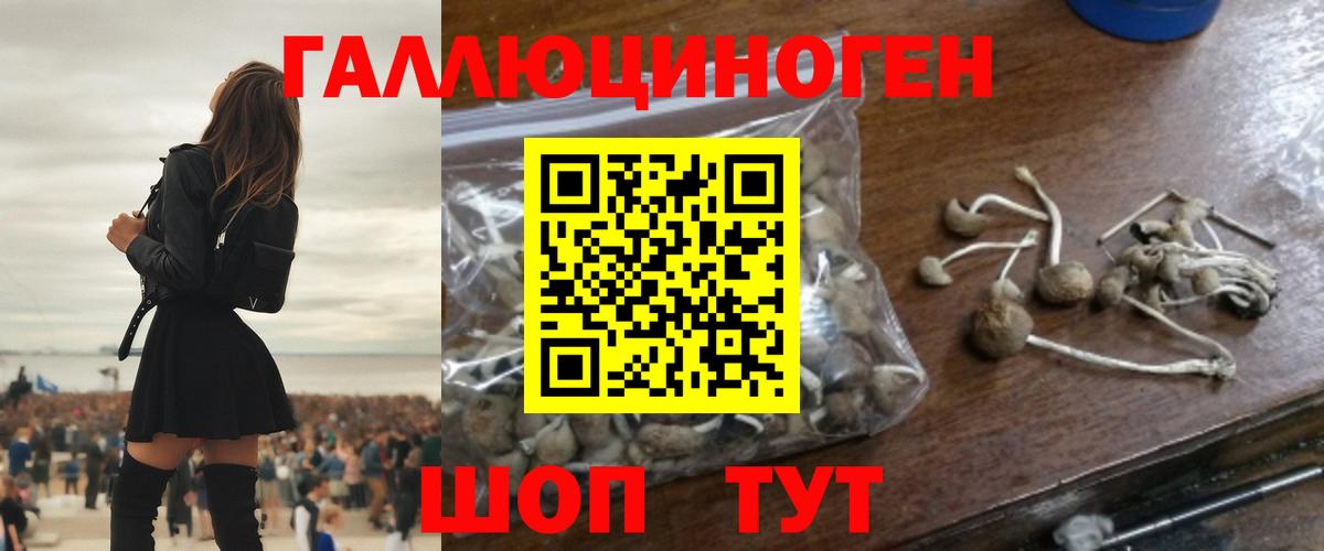 Саров  Галлюциногенные грибы MAGIC MUSHROOMS  купить наркотик  Вход с VPN 