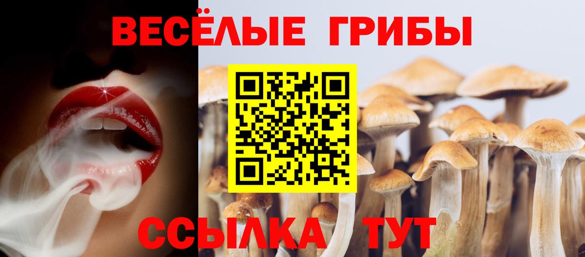 Галлюциногенные грибы Magic Shrooms Саров